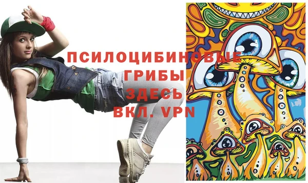 мет Ладушкин