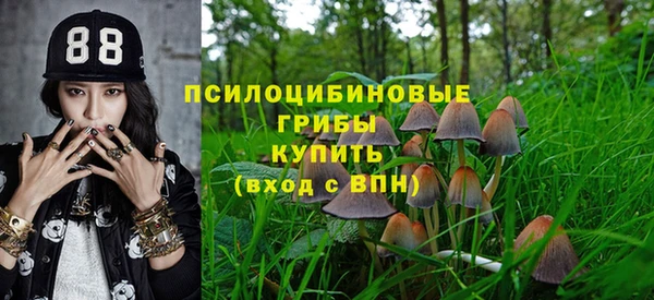 мет Ладушкин