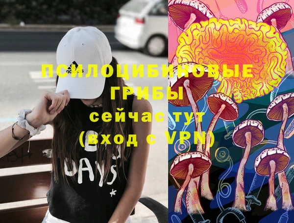 марки lsd Лагань