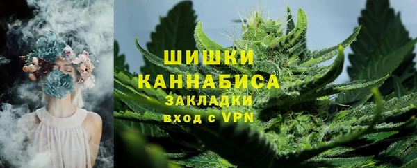 мет Ладушкин
