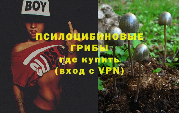 мет Ладушкин