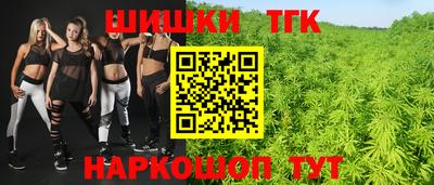 ECSTASY Гай