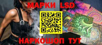 дмт Гатчина