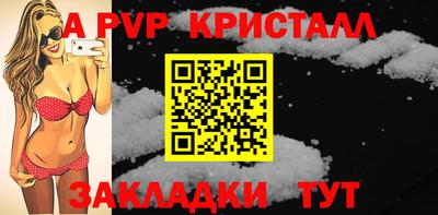 ECSTASY Гай