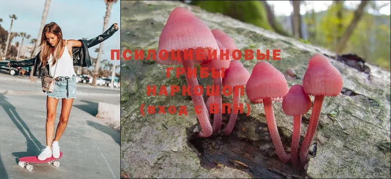 Псилоцибиновые грибы MAGIC MUSHROOMS Калуга