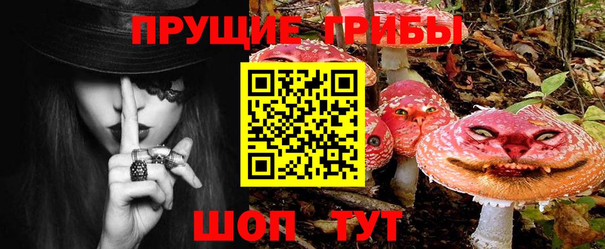 Калуга  Галлюциногенные грибы MAGIC MUSHROOMS  Вход с VPN  Галлюциногенные грибы Magic Shrooms 