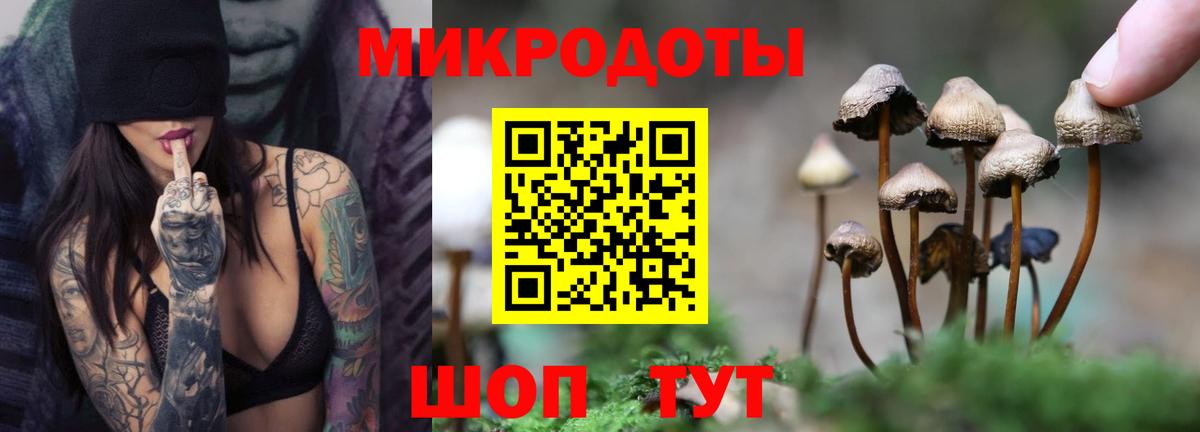 Галлюциногенные грибы Cubensis Калуга